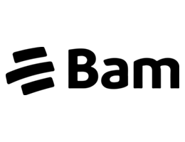 Logo de BAM